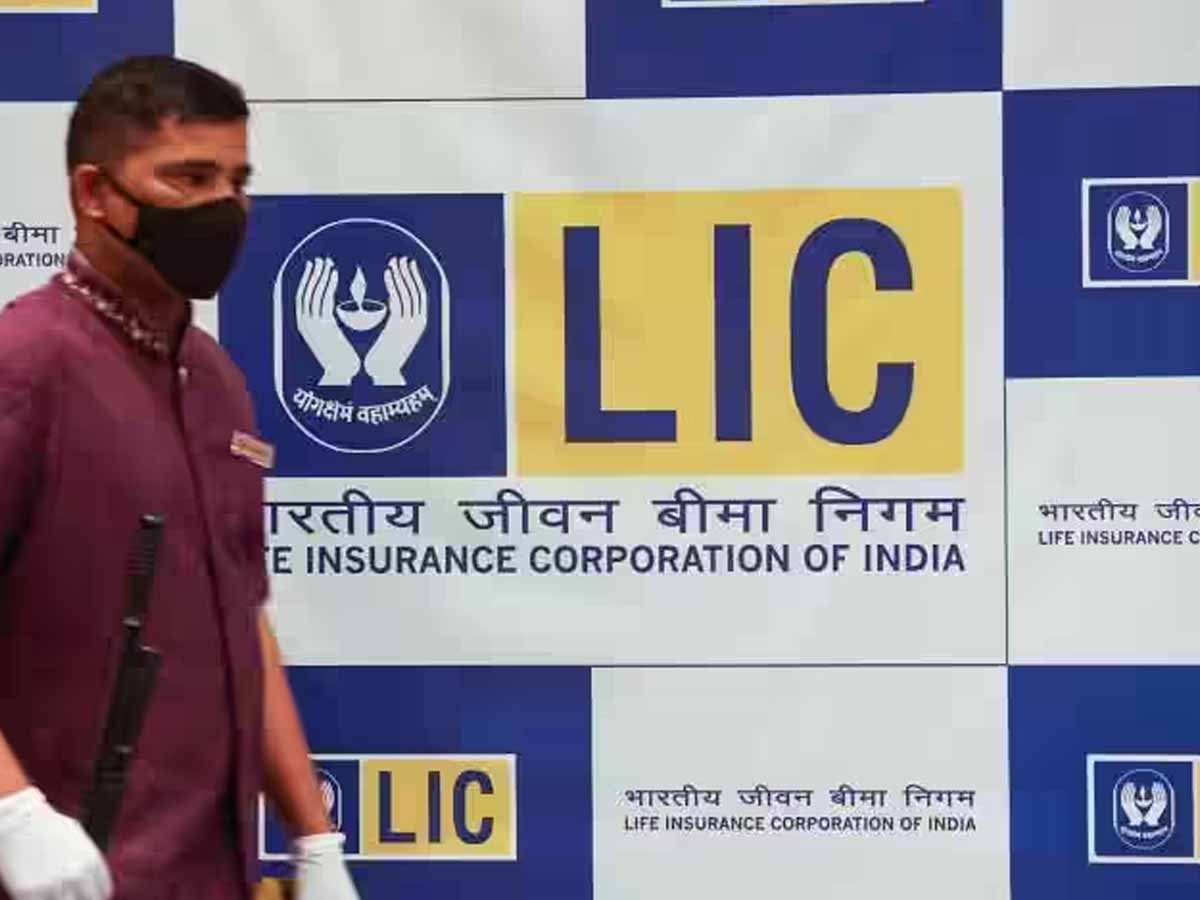 LIC Share: अडानी ग्रुप के शेयरों में तेजी से LIC ने भी बनाया र‍िकॉर्ड! जान‍िए क्‍या कहते हैं एक्‍सपर्ट