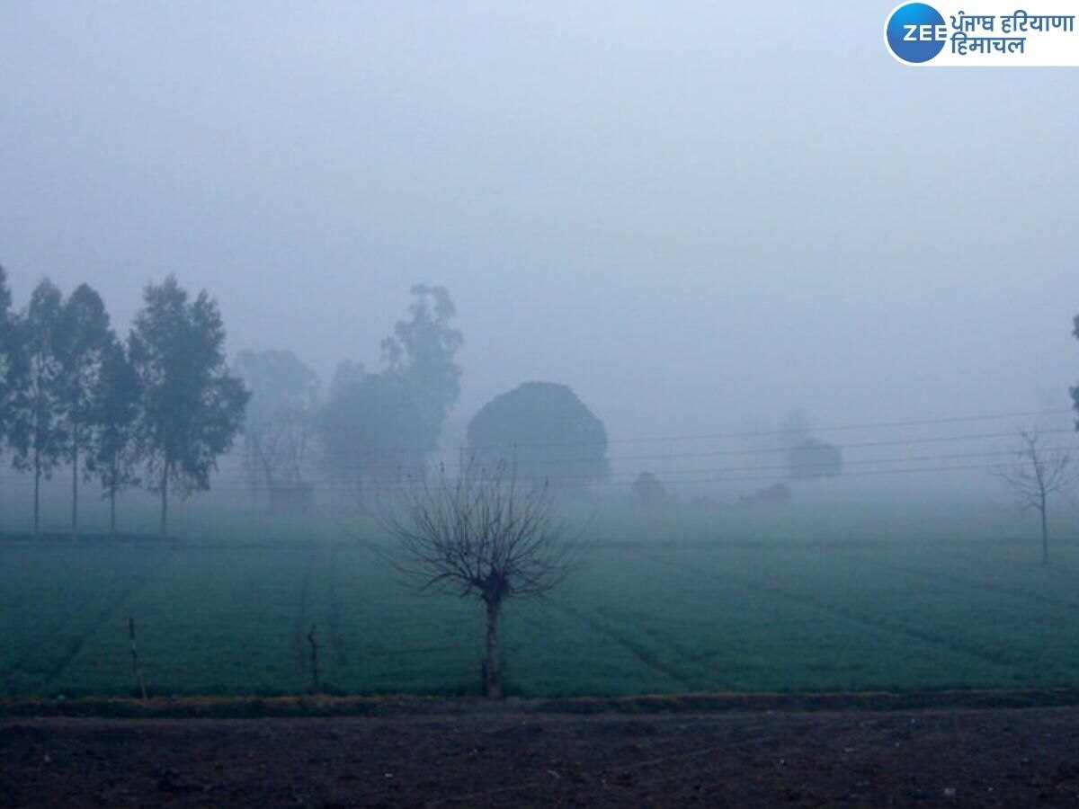 Punjab Weather Update: ਮੌਸਮ ਦਾ ਬਦਲਿਆ ਮਿਜਾਜ਼, ਸੰਘਣੀ ਧੁੰਦ ਦਾ ਕਹਿਰ ਹੋਇਆ ਸ਼ੁਰੂ, ਵਿਜ਼ੀਬਿਲਟੀ ਘਟੀ