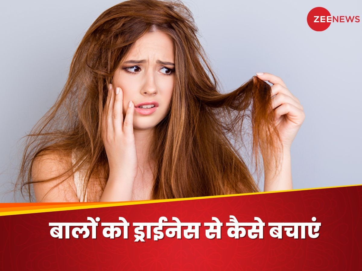 Hair Dryness: सर्दियों के मौसम में बालों में बढ़ सकता है रूखापन, इन 4 तरीकों से रोकें ड्राइनेस