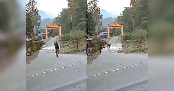 Video: क्या किस्मत थी रे भाई! बाघ की तरफ चले जा रहा था और फिर अचानक...बाल-बाल बचा