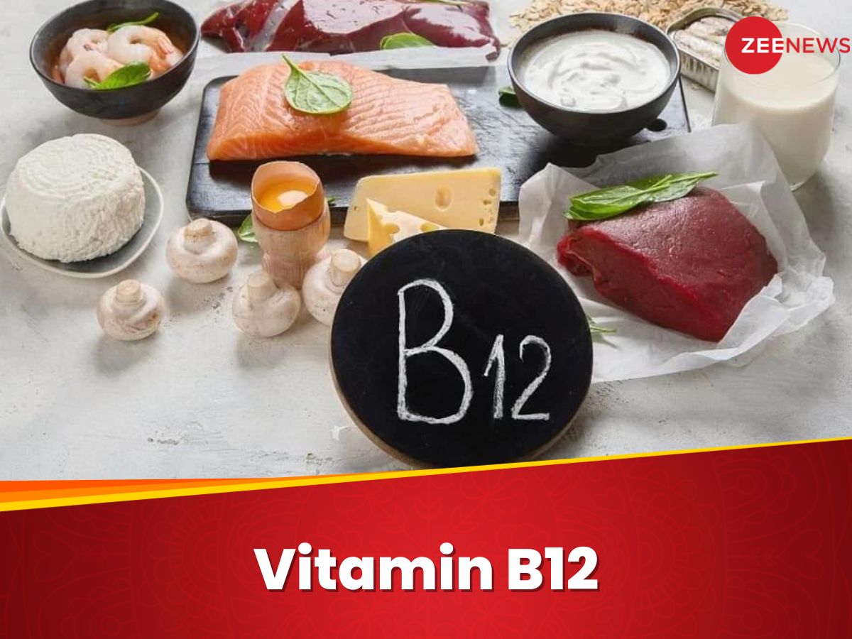Vitamin B12 Deficiency: विटामिन बी12 की कमी से हिल जाता है शरीर का ढांचा, तुरंत खाना शुरू करें ये 5 सुपरफूड Vitamin B12 Deficiency: विटामिन बी12 की कमी से हिल जाता है शरीर का ढांचा, तुरंत खाना शुरू करें ये 5 सुपरफूड