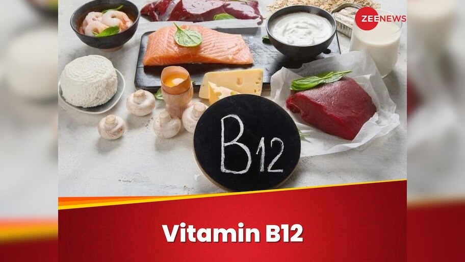Vitamin B12 Deficiency: विटामिन बी12 की कमी से हिल जाता है शरीर का ढांचा, तुरंत खाना शुरू करें ये 5 सुपरफूड