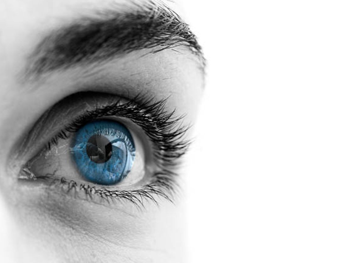 Eye Sight: आंखों के सामने आ रहा है धुंधलापन, तो डाइट में एड कर लें ये 10 फूड, गिद्ध जैसी तेज हो जाएगी नजर