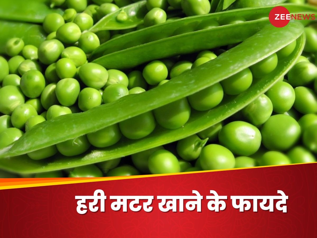 Green Peas: आज से रोजाना खाएं कच्ची हरी मटर, सेहत को होंगे 5 जबरदस्त फायदे