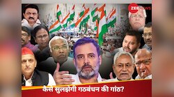 LS चुनाव से पहले बिदकने लगे गठबंधन साथी, अब 'कील-कांटे' कैसे दुरुस्त करेगी कांग्रेस?