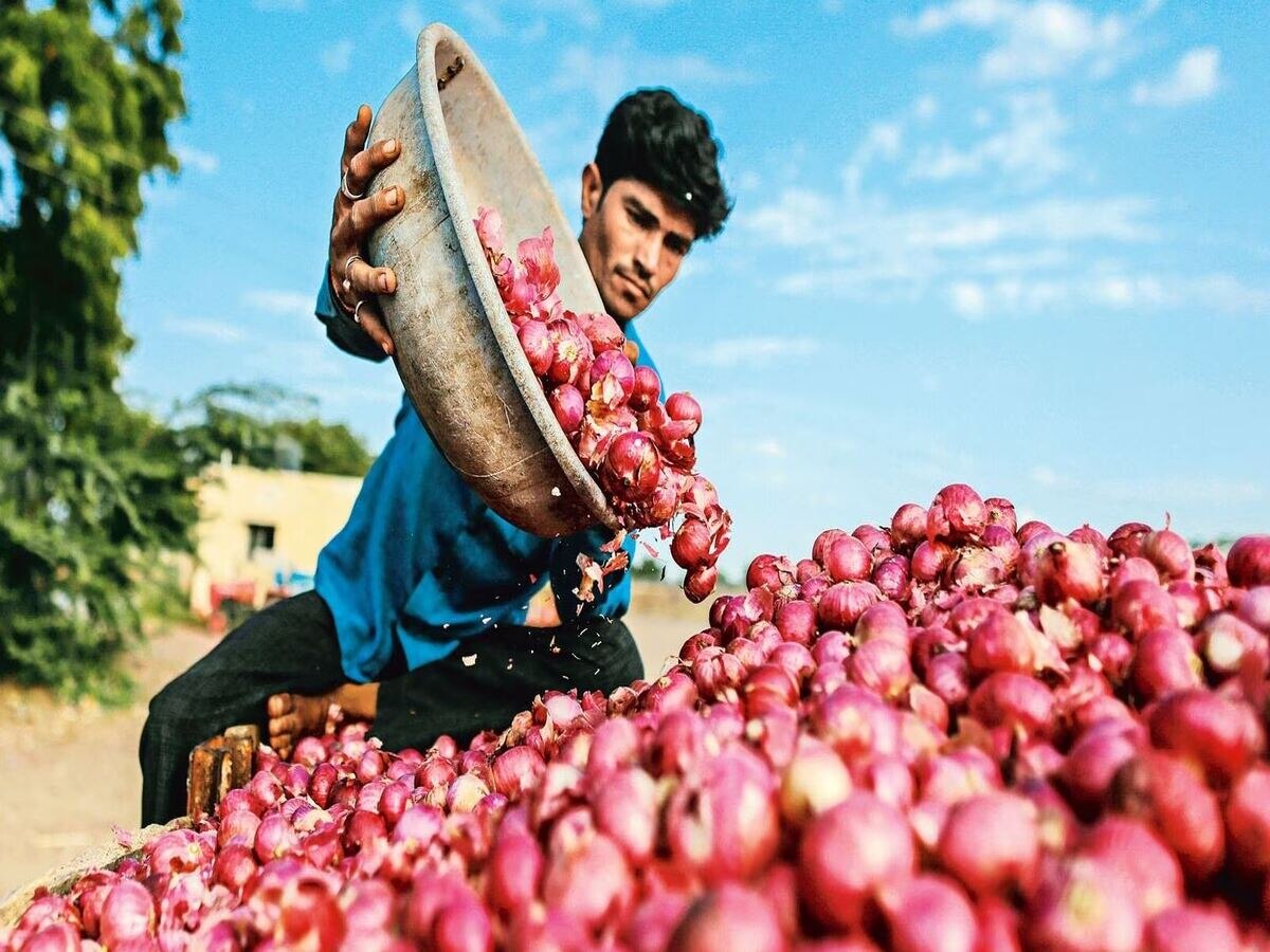 Onion Price: ଆଉ କନ୍ଦାଇବ ନାହିଁ ପିଆଜ; ମୂଲ୍ୟ ହ୍ରାସ କରିବାକୁ ସରକାର ନେଲେ ବଡ଼ ନିଷ୍ପତ୍ତି 