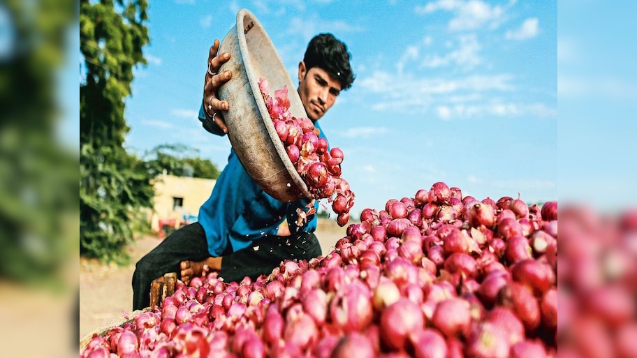 Onion Price: ଆଉ କନ୍ଦାଇବ ନାହିଁ ପିଆଜ; ମୂଲ୍ୟ ହ୍ରାସ କରିବାକୁ ସରକାର ନେଲେ ବଡ଼ ନିଷ୍ପତ୍ତି 
