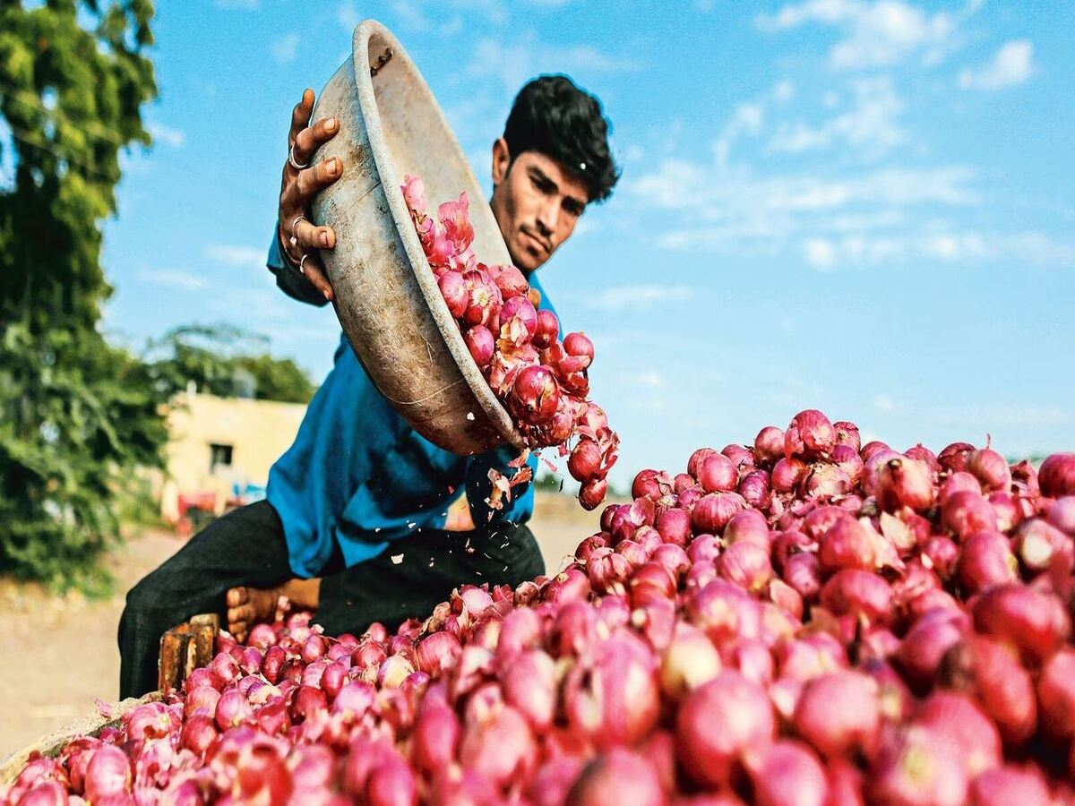 Onion Price: ଆଉ କନ୍ଦାଇବ ନାହିଁ ପିଆଜ; ମୂଲ୍ୟ ହ୍ରାସ କରିବାକୁ ସରକାର ନେଲେ ବଡ଼ ନିଷ୍ପତ୍ତି Onion Price: ଆଉ କନ୍ଦାଇବ ନାହିଁ ପିଆଜ; ମୂଲ୍ୟ ହ୍ରାସ କରିବାକୁ ସରକାର ନେଲେ ବଡ଼ ନିଷ୍ପତ୍ତି