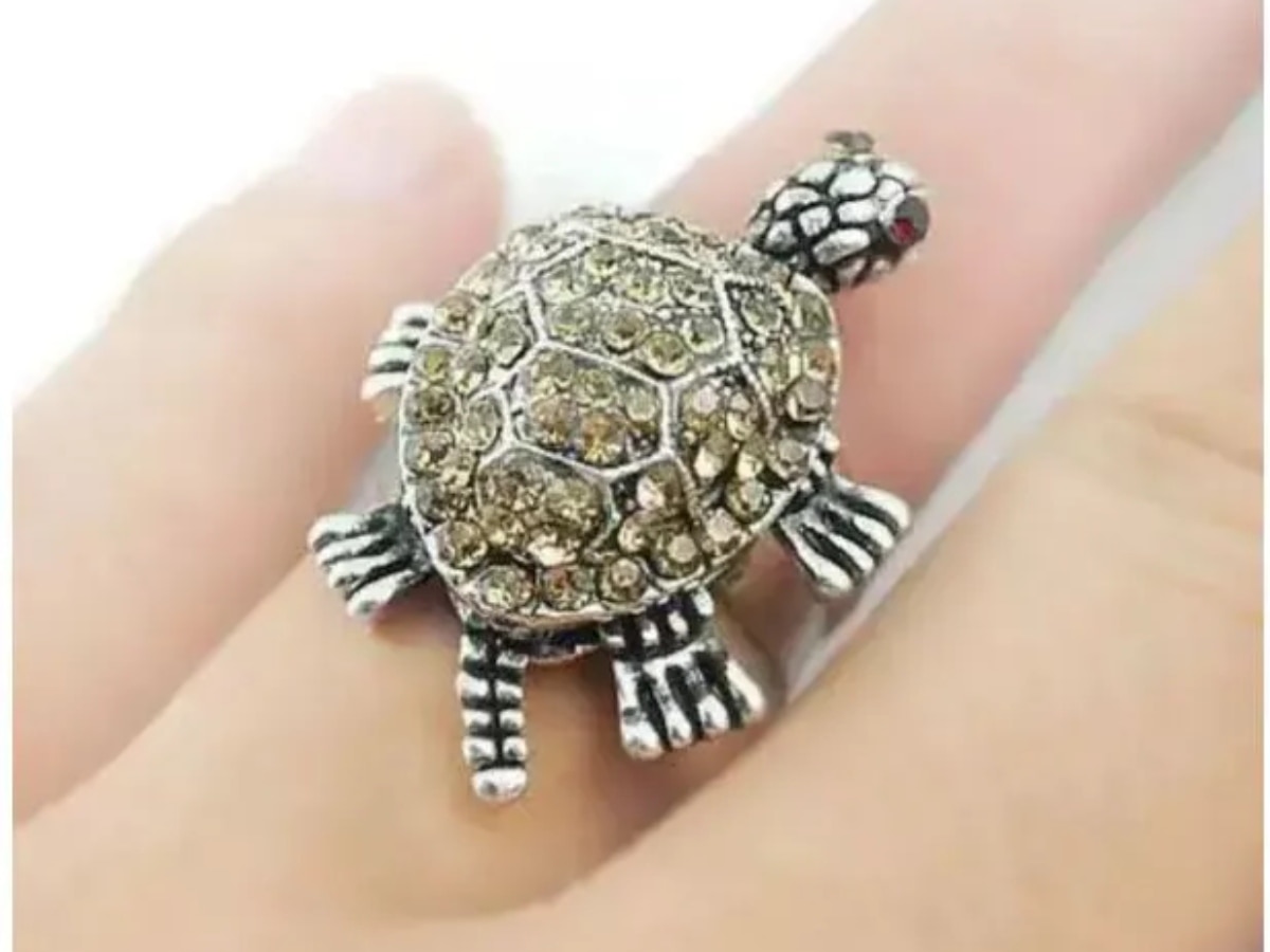 Vastu Tips For Kachhua Ring: कछुए वाली अंगूठी पहनते हैं तो ना करें ये  गलतियां || Tortoise Ring - YouTube