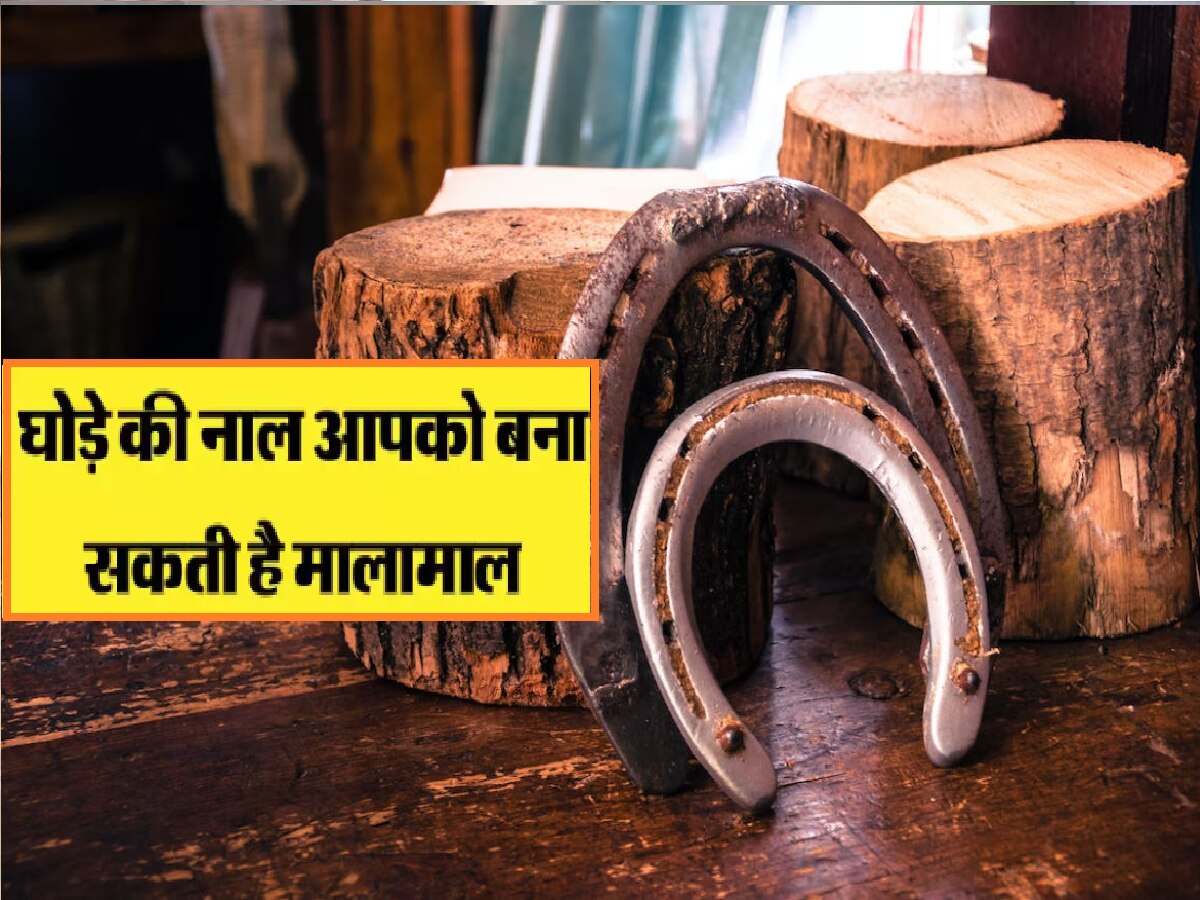 astro tips know ghode ki naal upay keep horse shoe at home shani dev ...
