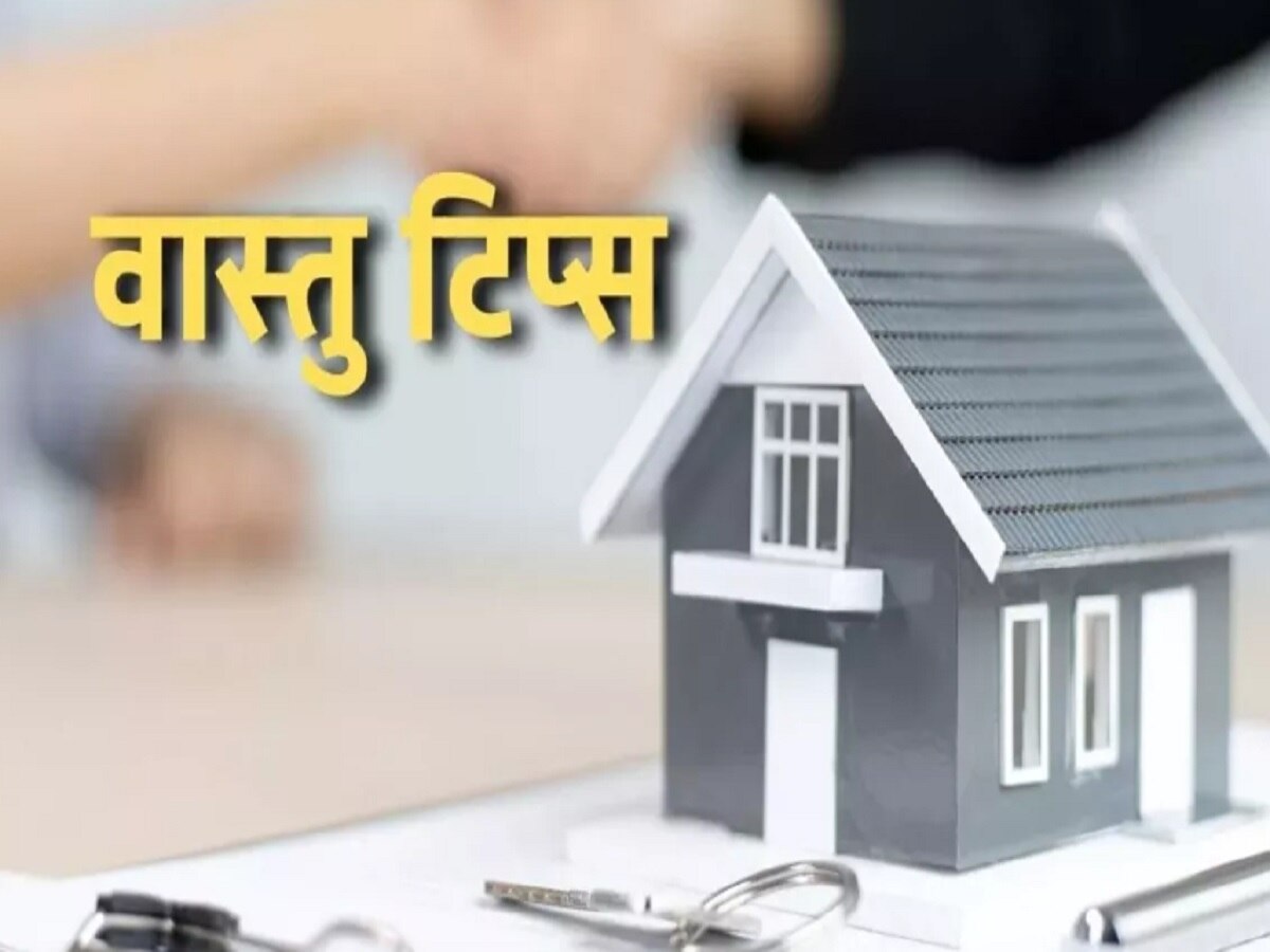 Vastu Tips 2024: घर के आंगन में नए साल पर लगाएं ये 4 पौधे, सुख-समृद्धि से भर जाएगा आपका जीवन