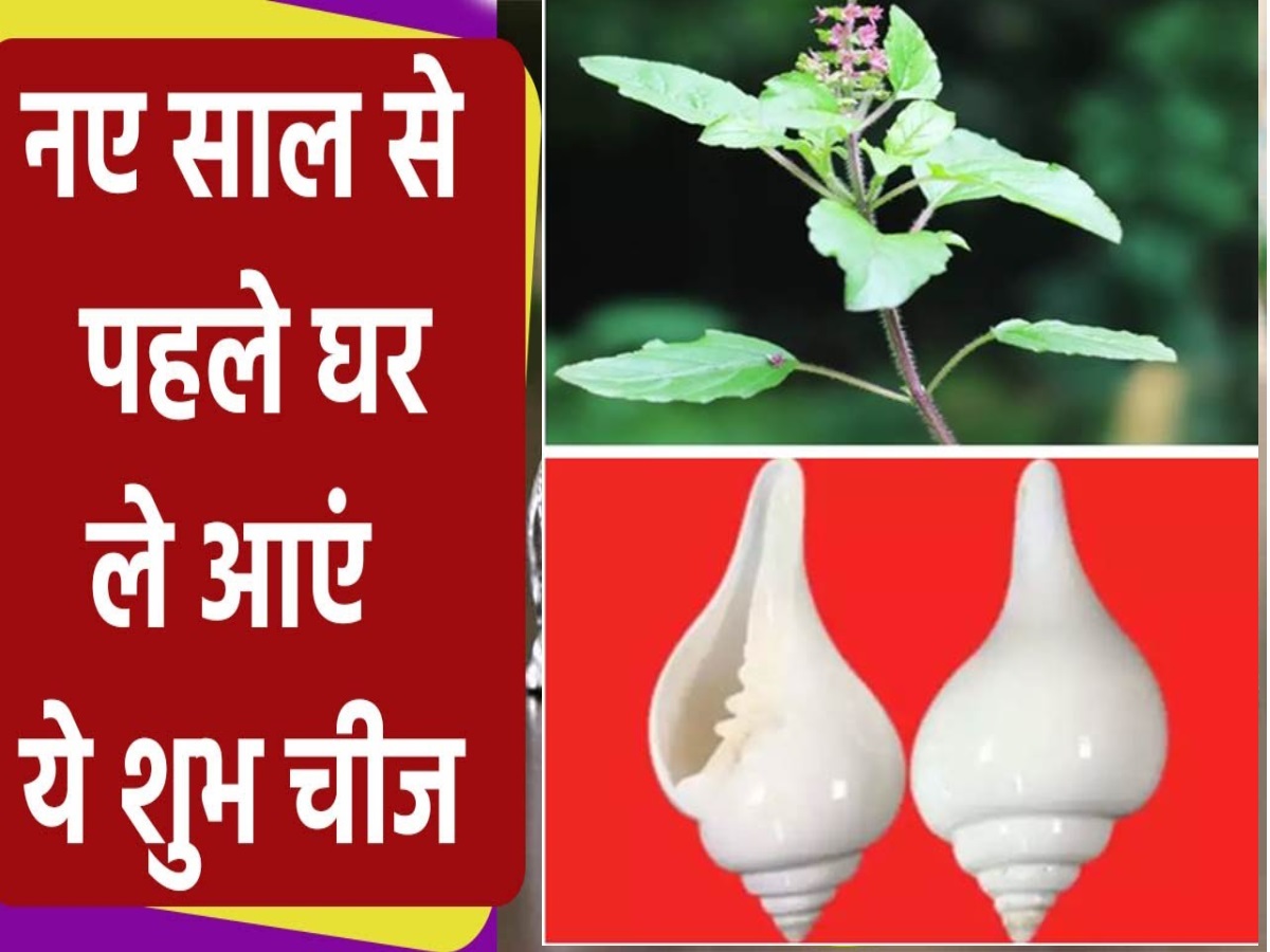 New Year 2024: घर में बढ़ाना चाहते है धन-दौलत, नए साल से पहले घर लें आएं ये 3 चीजें New Year 2024: घर में बढ़ाना चाहते है धन-दौलत, नए साल से पहले घर लें आएं ये 3 चीजें
