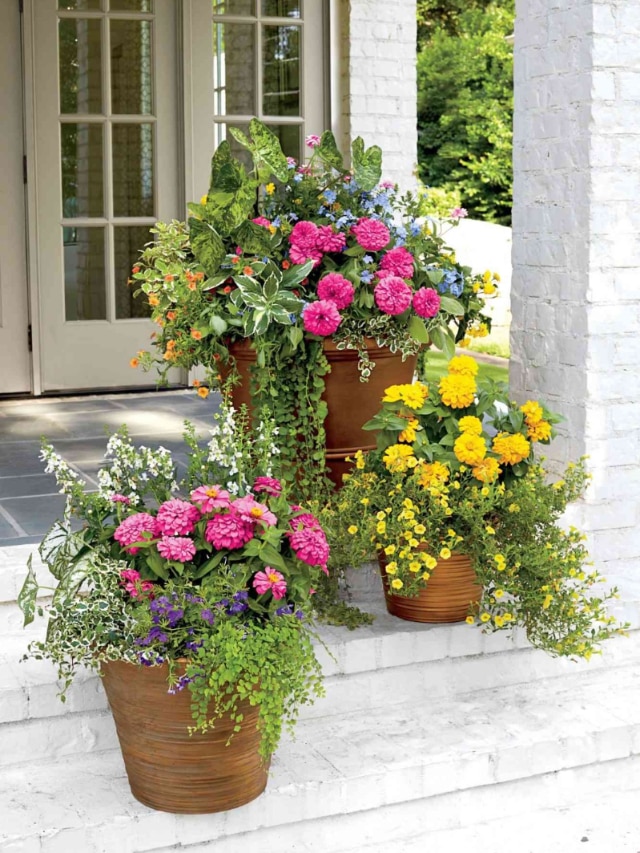 Gardening Tips: गुलाब से लेकर गेंदा तक इन फूलों का ऐसे रखें खास ख्याल, महक उठेगा पूरा घर 