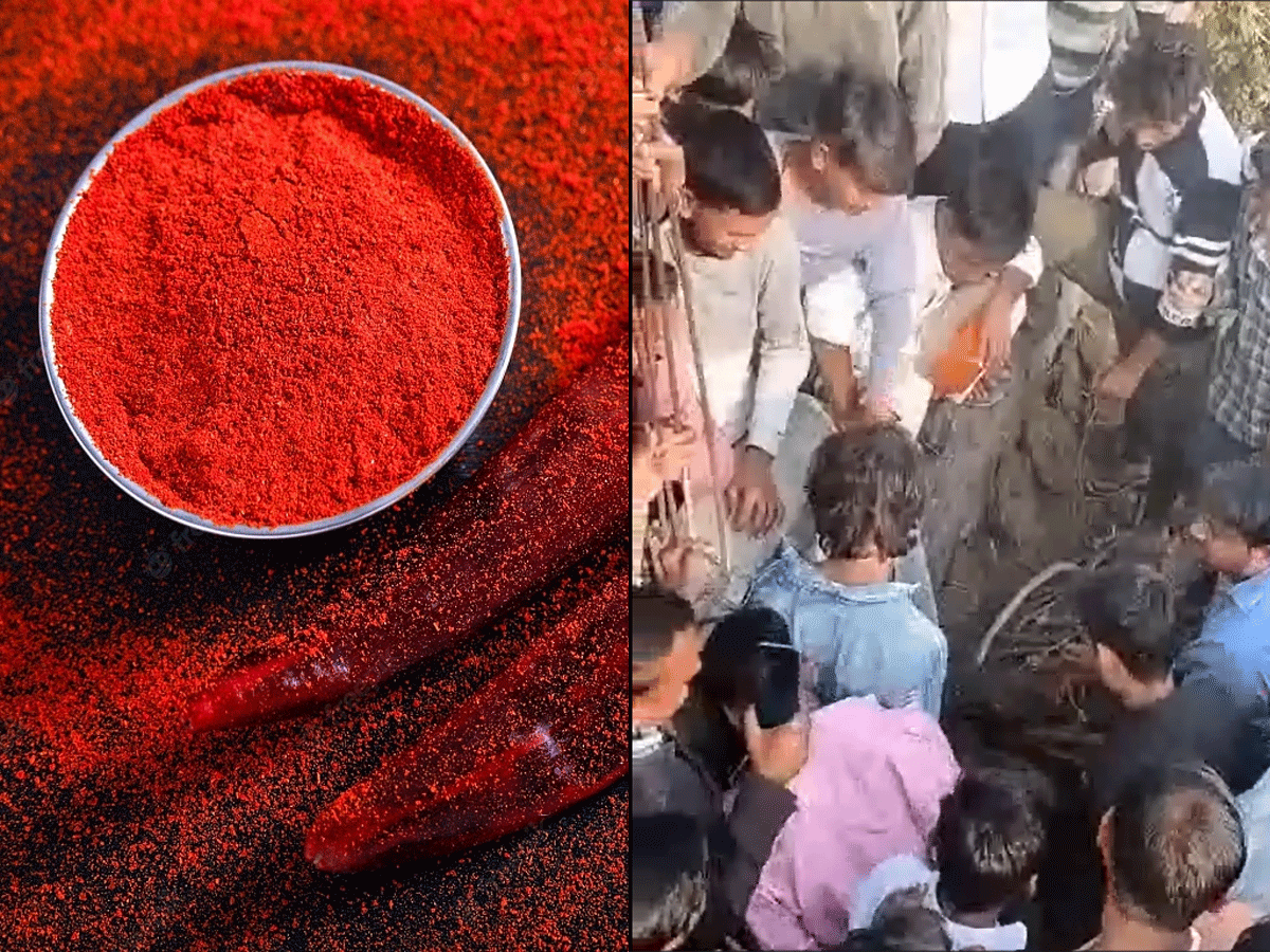 Noida Crime News: जेवर में मानवता हुई शर्मसार! चोरी के शक में युवकों के गुप्तांगों पर लाल मिर्च मल की पिटाई, वीडियो वायरल Noida Crime News: जेवर में मानवता हुई शर्मसार! चोरी के शक में युवकों के गुप्तांगों पर लाल मिर्च मल की पिटाई, वीडियो वायरल