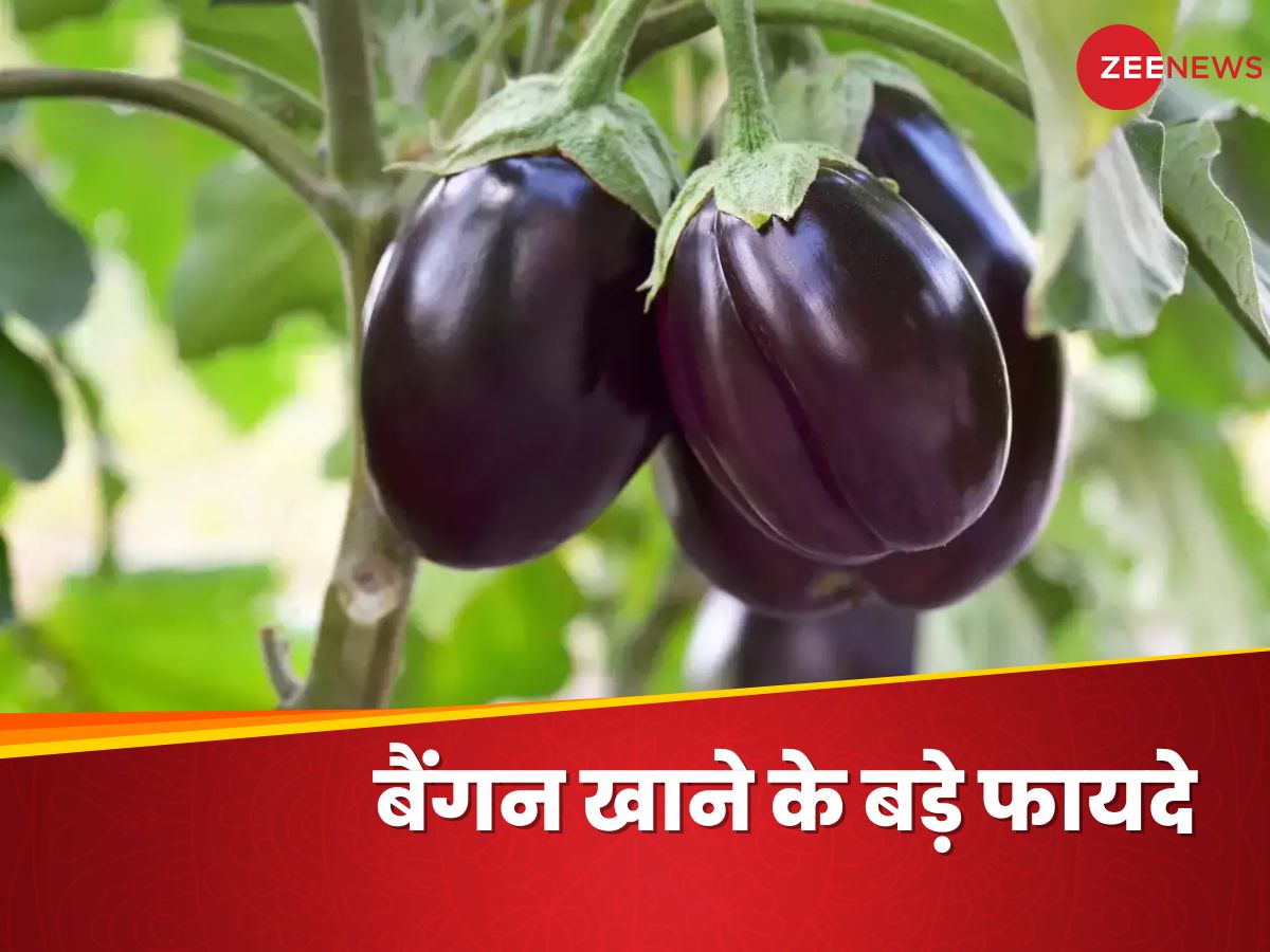 Brinjal Eating Health Benefits Baingan Khane Ke Fayde Advantges of Egg