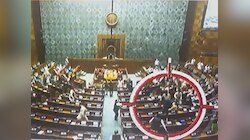 जब दर्शक दीघा से अचानक लोकसभा में कूदा युवक, सांसदों के बीच मची अफरातफरी