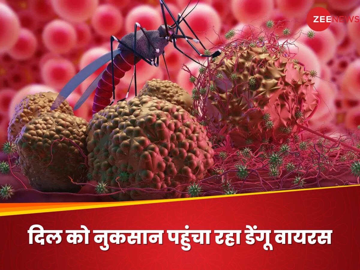 Dengue Virus: दिल को इन दो तरीकों से नुकसान पहुंचा रहा डेंगू वायरस, हो भी सकती है मौत