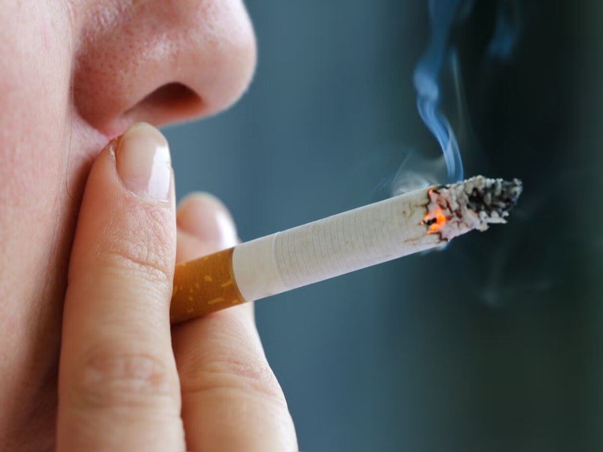 Health News: दिमाग को भी डैमेज करती है धूम्रपान, जानें कैसे पहुंचाती है नुकसान?  