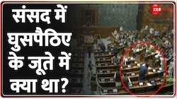 Parliament Breaking News: संसद में घुसे संदिग्ध के जूते में क्या था? Loksabha 