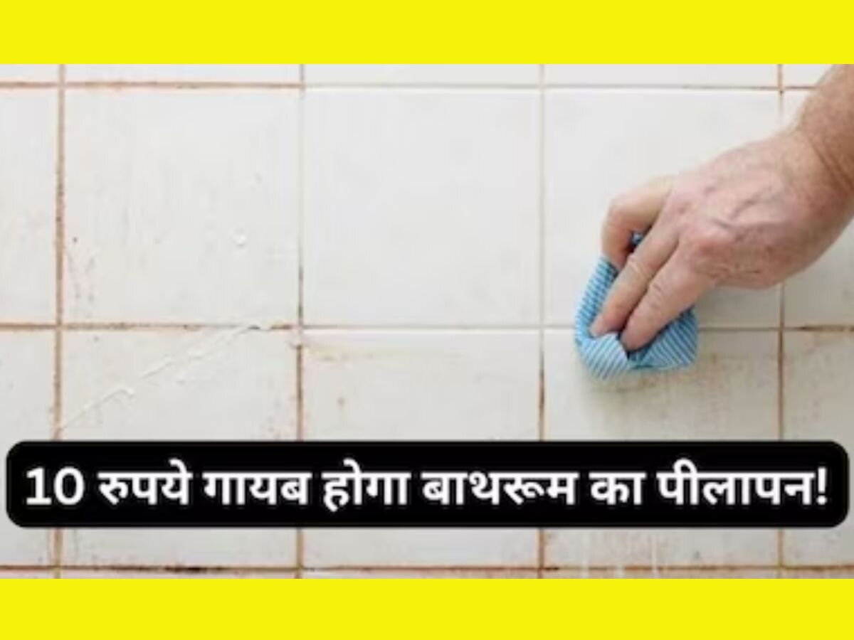 Useful fitkari alum easy tips for home cleaning ghar ki safai ke liye