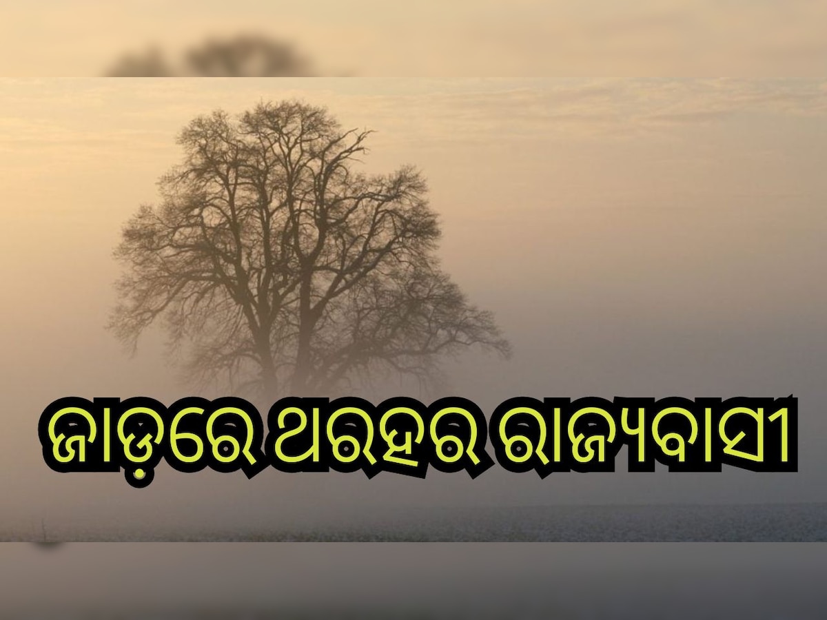 ସୌ(ସୋସିଆଲ ମିଡିଆ)