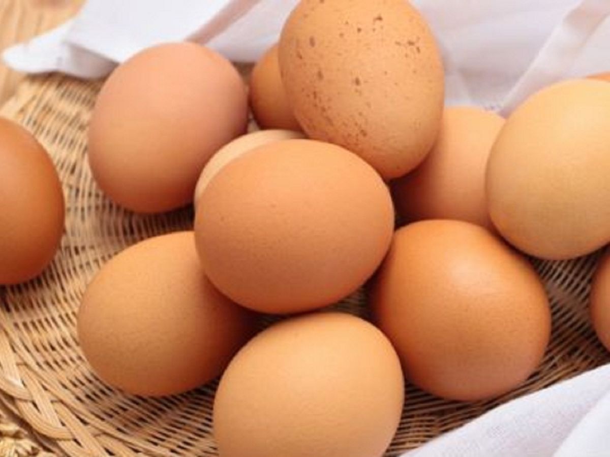 आयुर्वेद क्या अंडों को फायदेमंद मानता है या खाने से मना करता है? जानिए एक्सपर्ट की राय