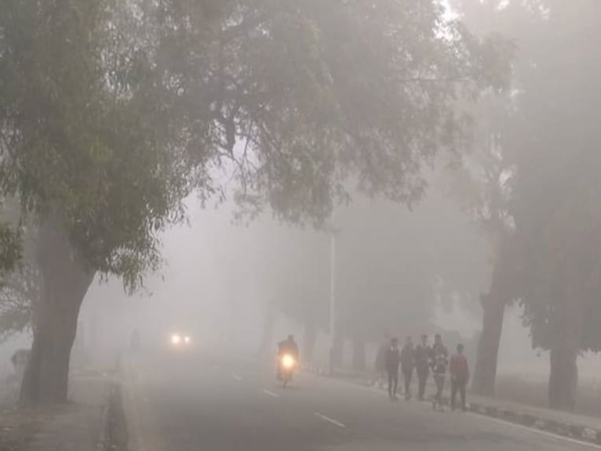 Today Weather Update: MP में ठंड ने कंपाया, छत्तीसगढ़ में भी बदला मौसम का मिजाज 