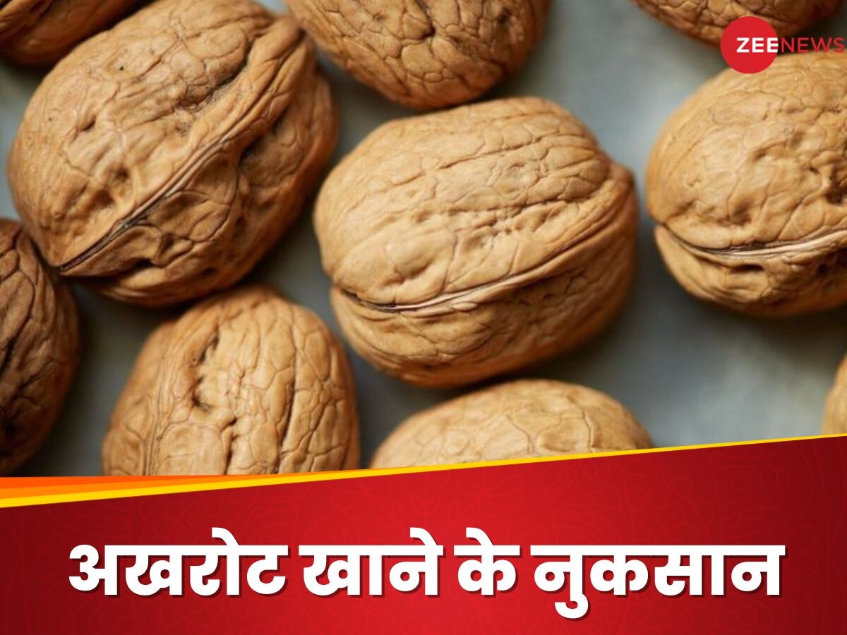 Walnuts Side Effects जरूरत से ज्यादा अखरोट खाने से हो सकती है गंभीर दिक्कतें, जानें क्या हैं नुकसान