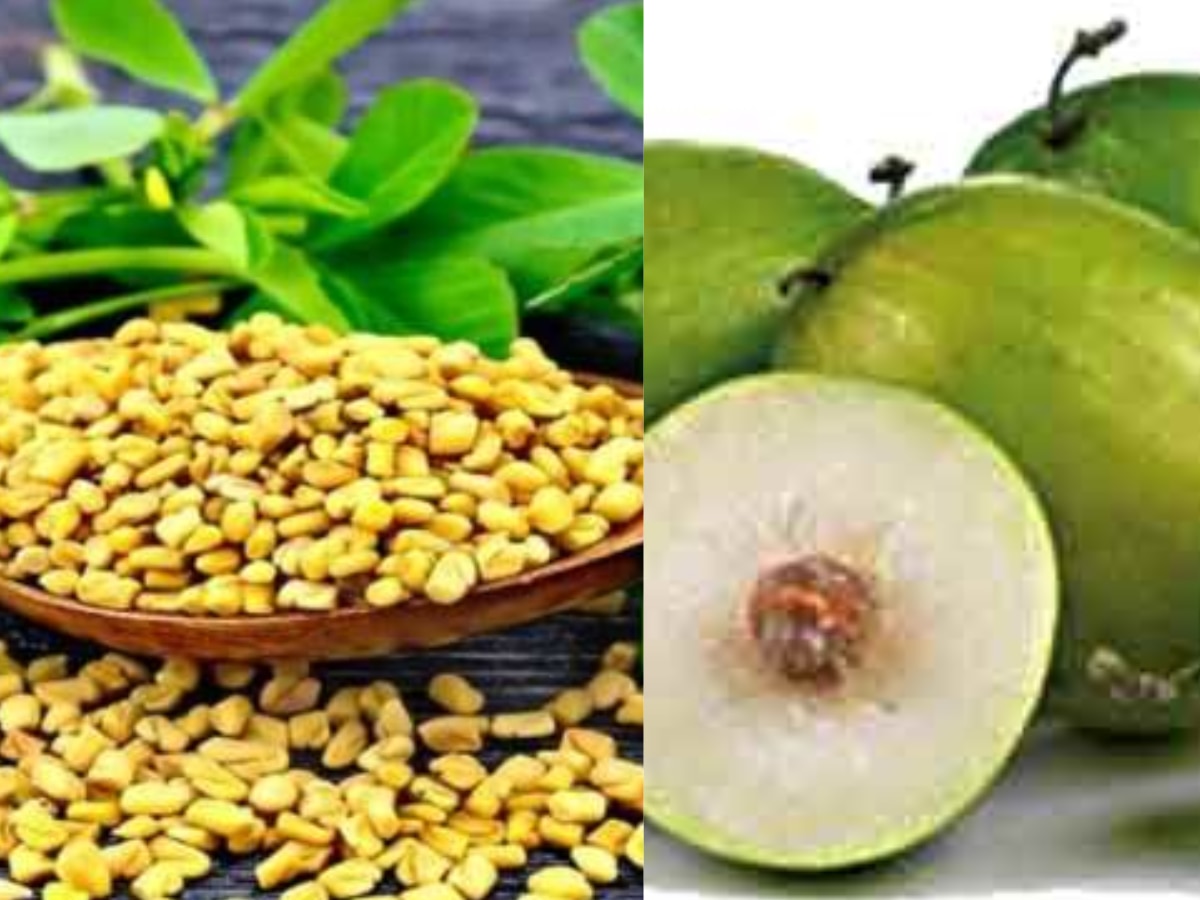 benefits of Grape Berry Jamun fenugreek melon seeds health tips ber