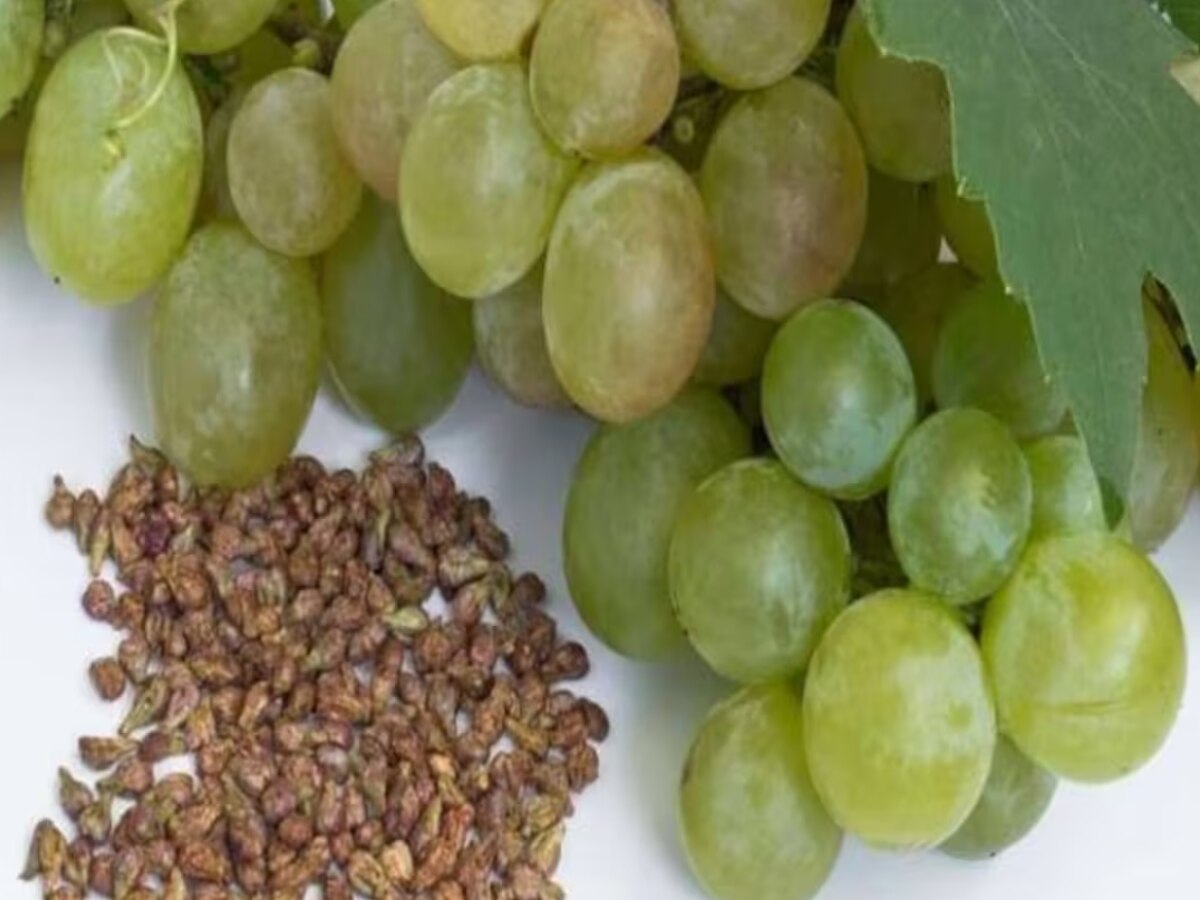 benefits of Grape Berry Jamun fenugreek melon seeds health tips ber