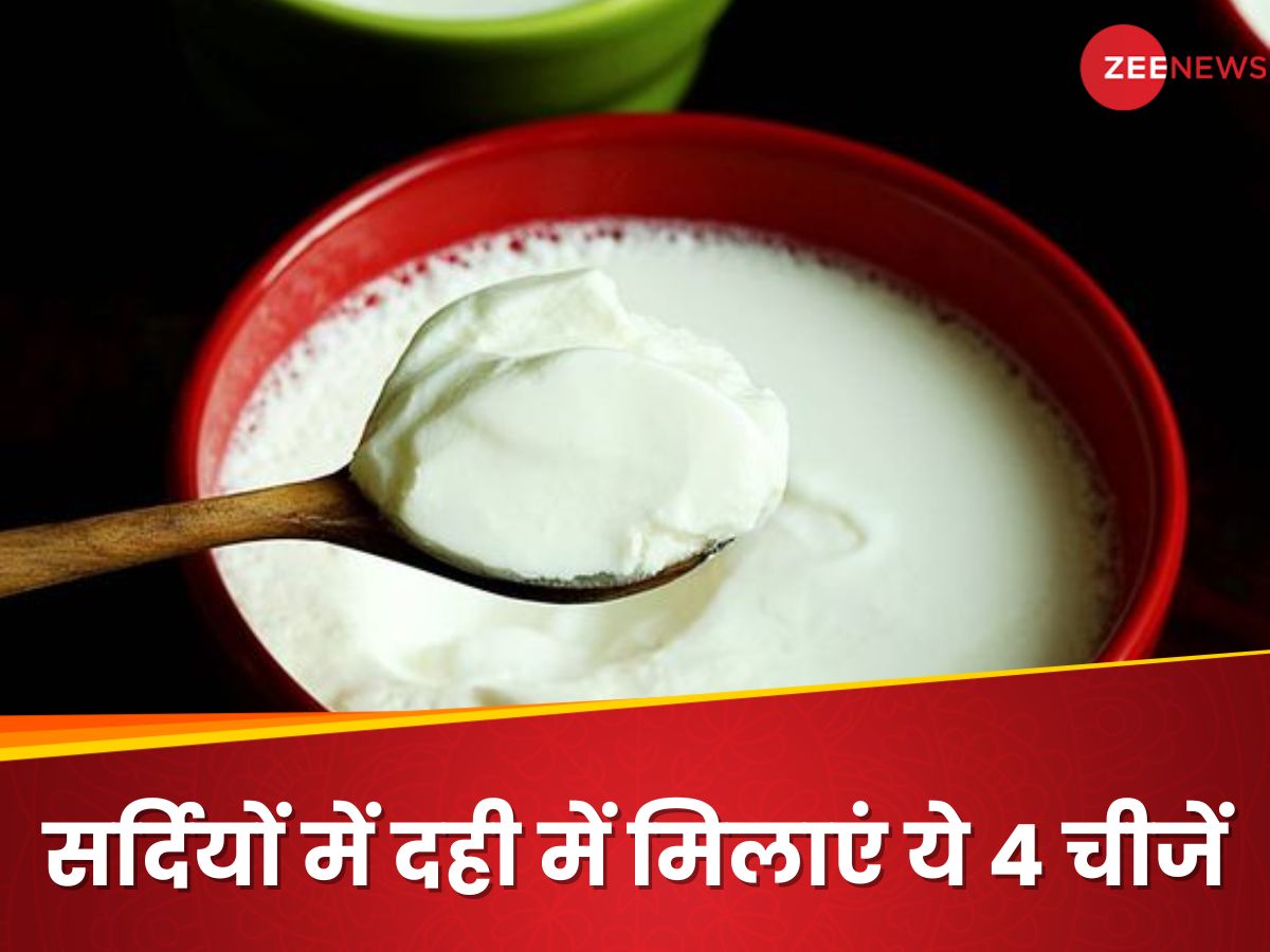 Curds Benefits सर्दियों में दही में मिलाएं ये 4 चीजें, स्वाद के साथ