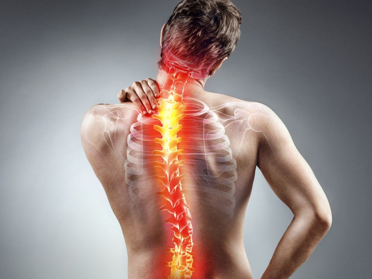 Weak Backbone: ये चार चीजें रीढ़ की हड्डी को बनाती हैं कमजोर, तुरंत बदल लें अपनी लाइफस्टाइल