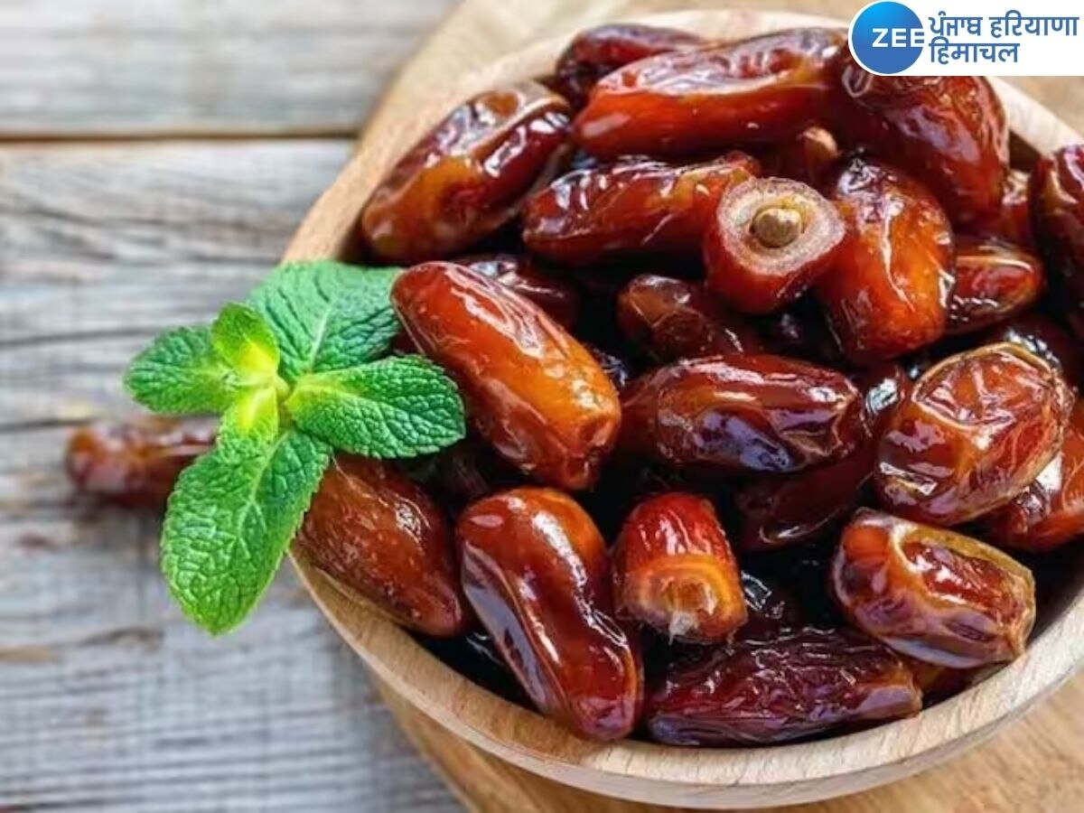 Dates Benefits: ਸਰਦੀਆਂ ਵਿੱਚ ਰੋਜ਼ਾਨਾ ਖਾਓ ਖਜੂਰ, ਮਿਲਣਗੇ ਇਹ ਫਾਇਦੇ, ਦੂਰ ਹੋਵੇਗਾ ਹਰ ਤਰ੍ਹਾਂ ਦਾ ਦਰਦ  