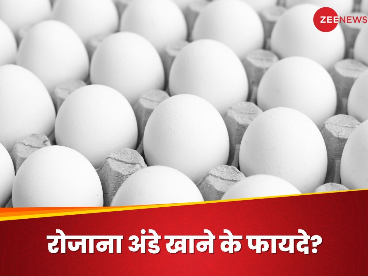 शरीर की इन 3 कमियों को दूर कर देता है अंडा, जानिए उबला अंडा ज्यादा फायदेमंद या ऑमलेट?
