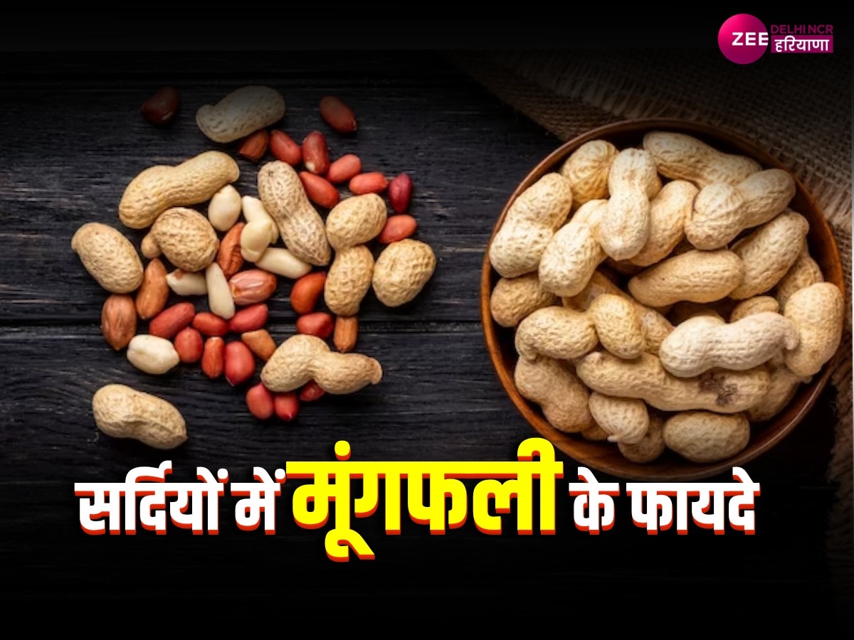 Peanuts Benefits सर्दियों में स्वाद ही नहीं कई बीमारियों के लिए
