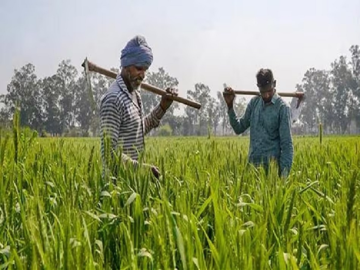 PM Kisan Samman Nidhi की 16वीं किस्त के लिए ऐसे करें रजिस्ट्रेशन, जानें पूरी प्रक्रिया