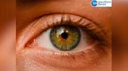 Eye Care Tips: ਜੇਕਰ ਅੱਖਾਂ ਦੀ ਨਜ਼ਰ ਹੋ ਰਹੀ ਹੈ ਕਮਜ਼ੋਰ ਤਾਂ ਰੋਜ਼ਾਨਾ ਕਰੋ ਅਪਨਾਓ ਇਹ ਨੁਸਖ਼ੇ