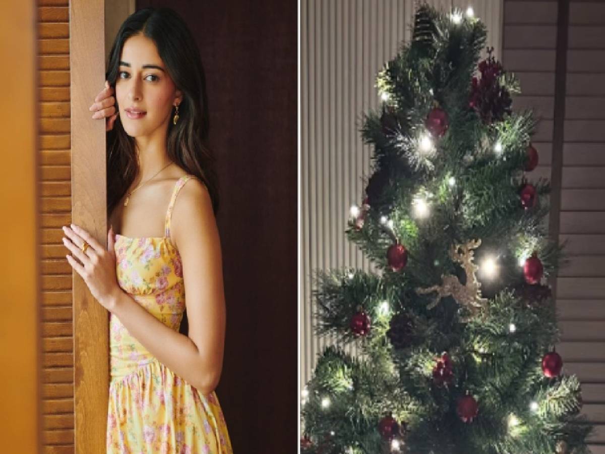अनन्या पांडे ने अपने नए घर में की क्रिसमस की तैयारी, शेयर की फोटो