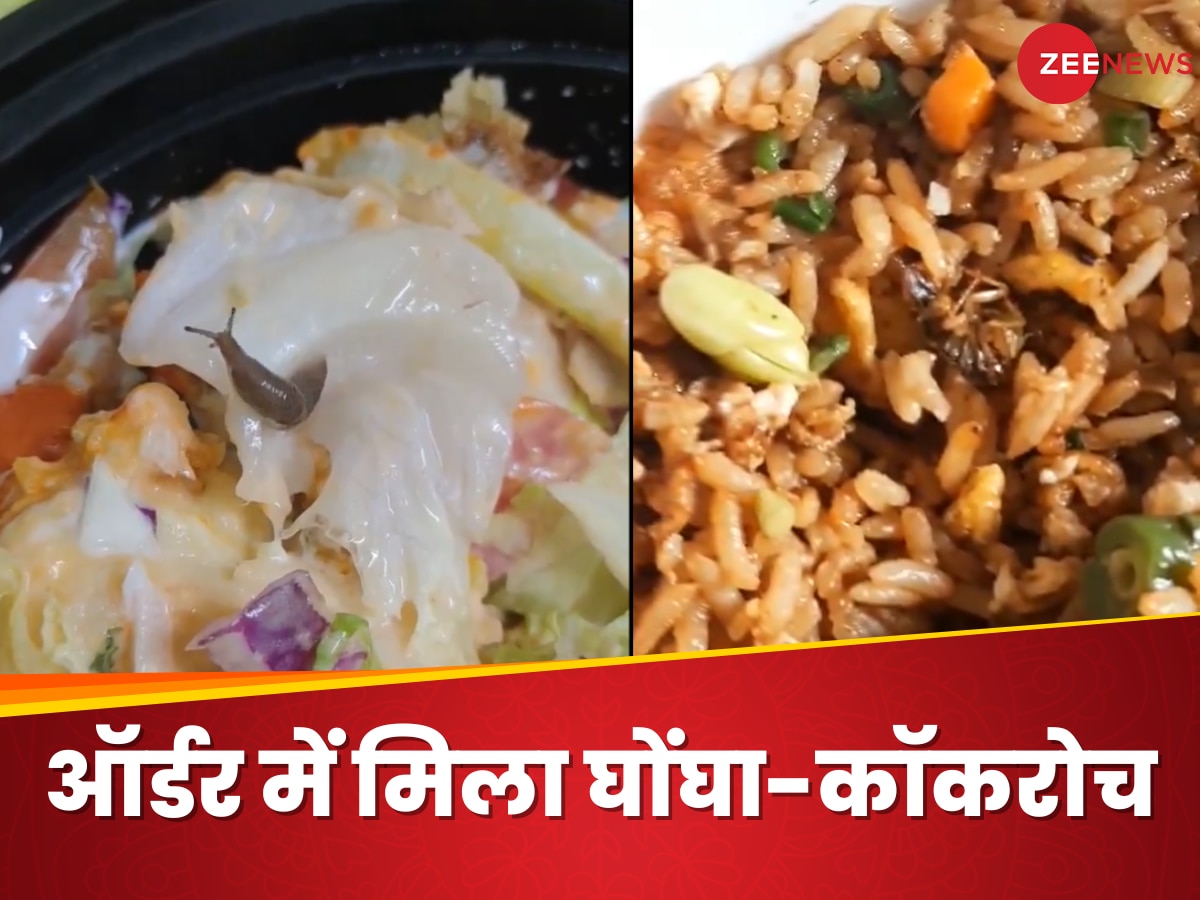 Swiggy से कस्टमर ने किया ऑर्डर, फ्राइड राइस में कॉकरोच तो सलाद में मिला घोंघा; मचा बवाल