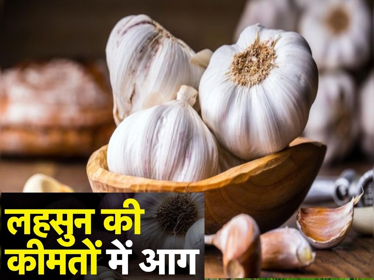 Garlic Price Rise: महंगाई की मार! लहसुन पहुंचा 360 रुपये के पार, बिगड़ा सब्जियों का स्वाद 