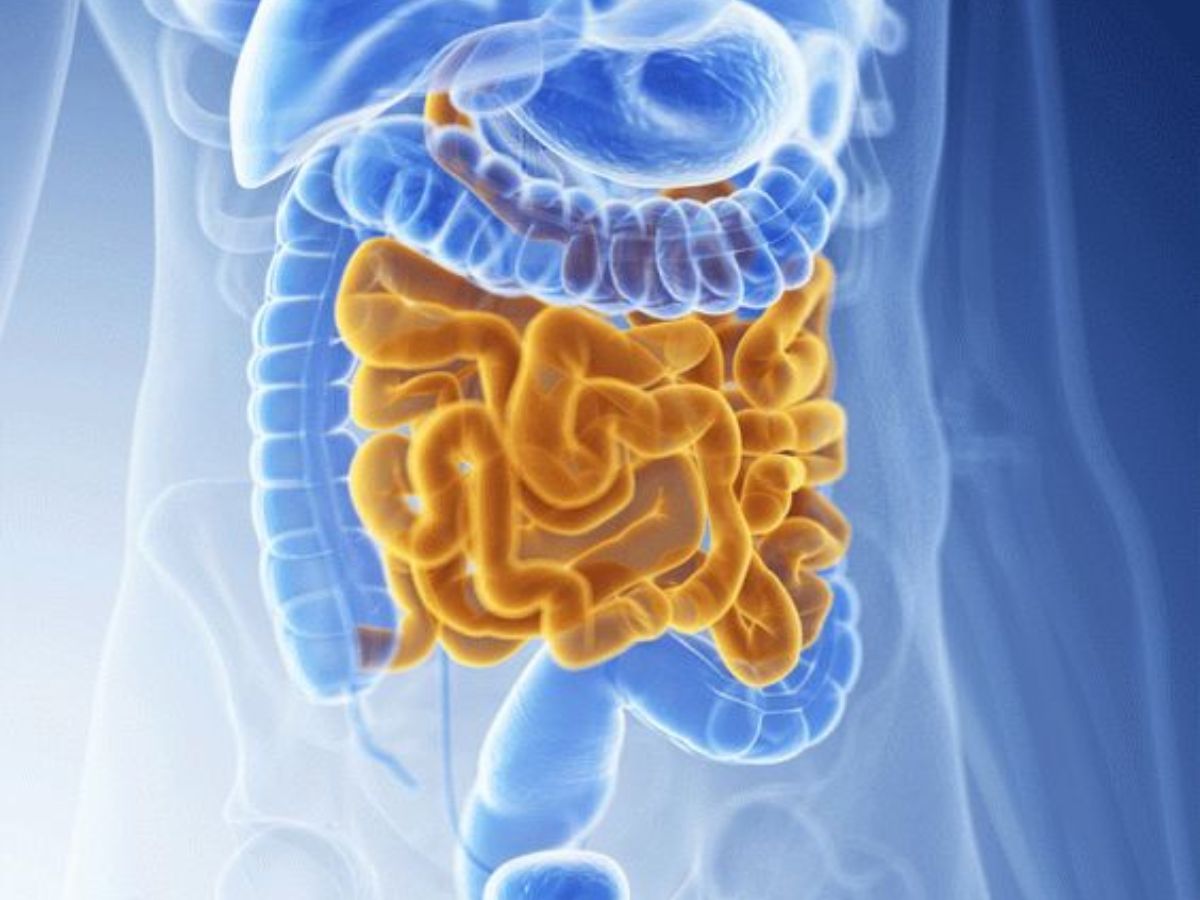 5. आंतों में बढ़ाए अच्छे बैक्टीरिया