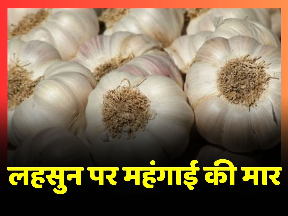 Garlic Price Rise Garlic hit by inflation Garlic price rise 2023