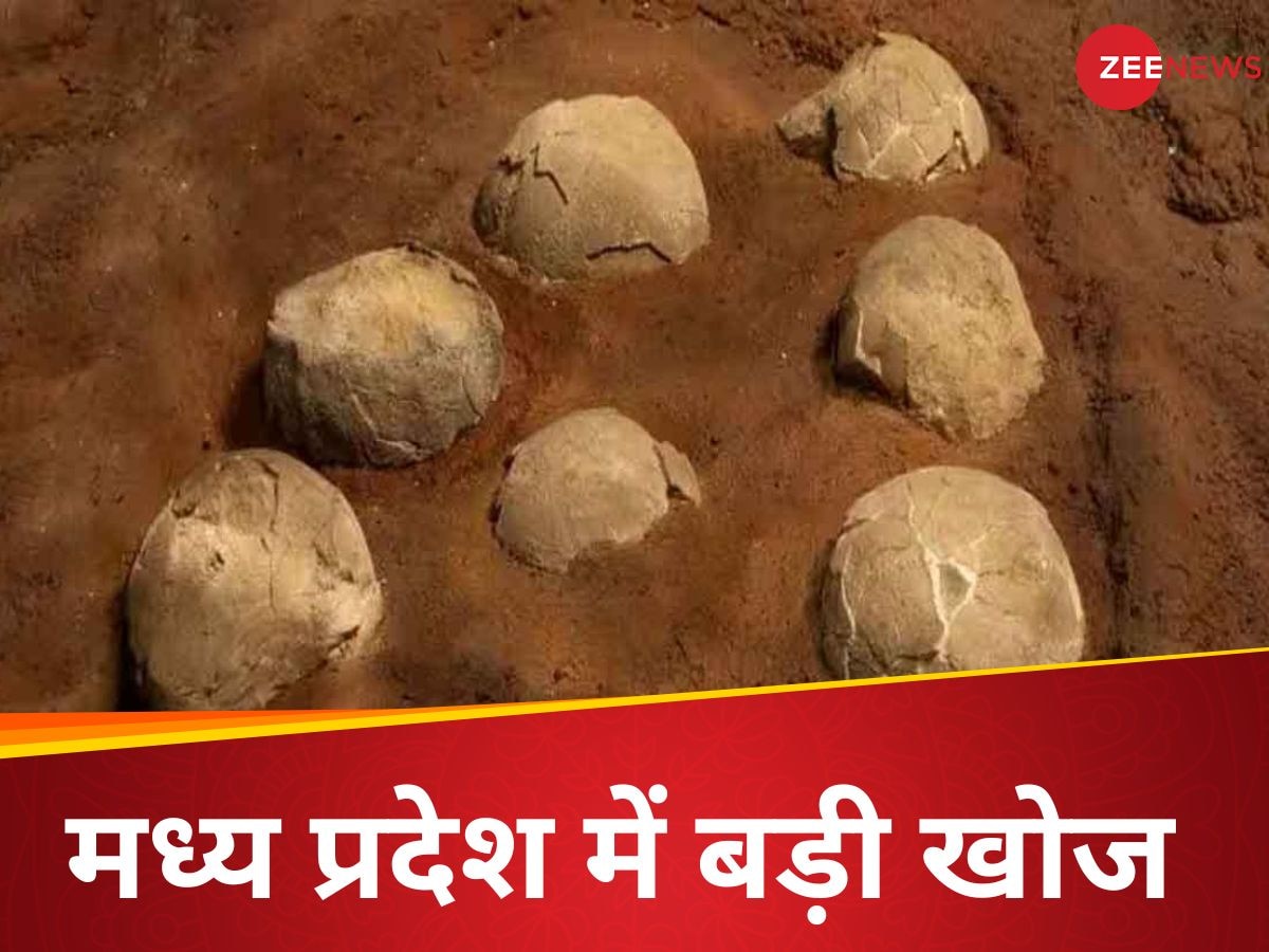 Madhya Pradesh: गांव वाले जिसे ‘कुलदेवता’ समझकर पूजते रहे, वह निकला डायनासोर का अंडा