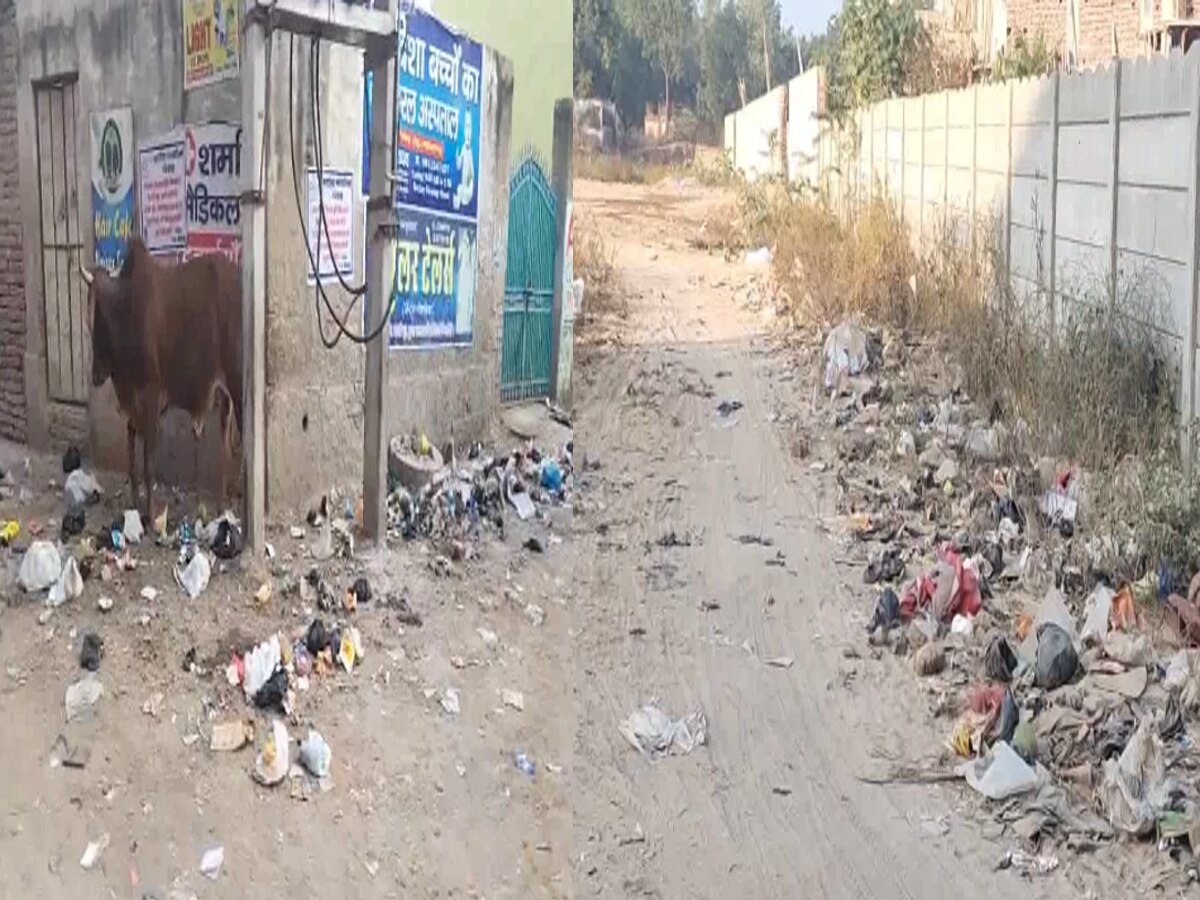 Mahendragarh News: सड़कों की हालत, सफाई और स्वास्थ्य व्यवस्था चरमराई, असफल नजर आई नगर पालिका