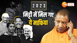 UP Crime News: 2023 में अपराधियों की शामत आई, योगीराज में सरेंडर या एनकाउंटर से कांप