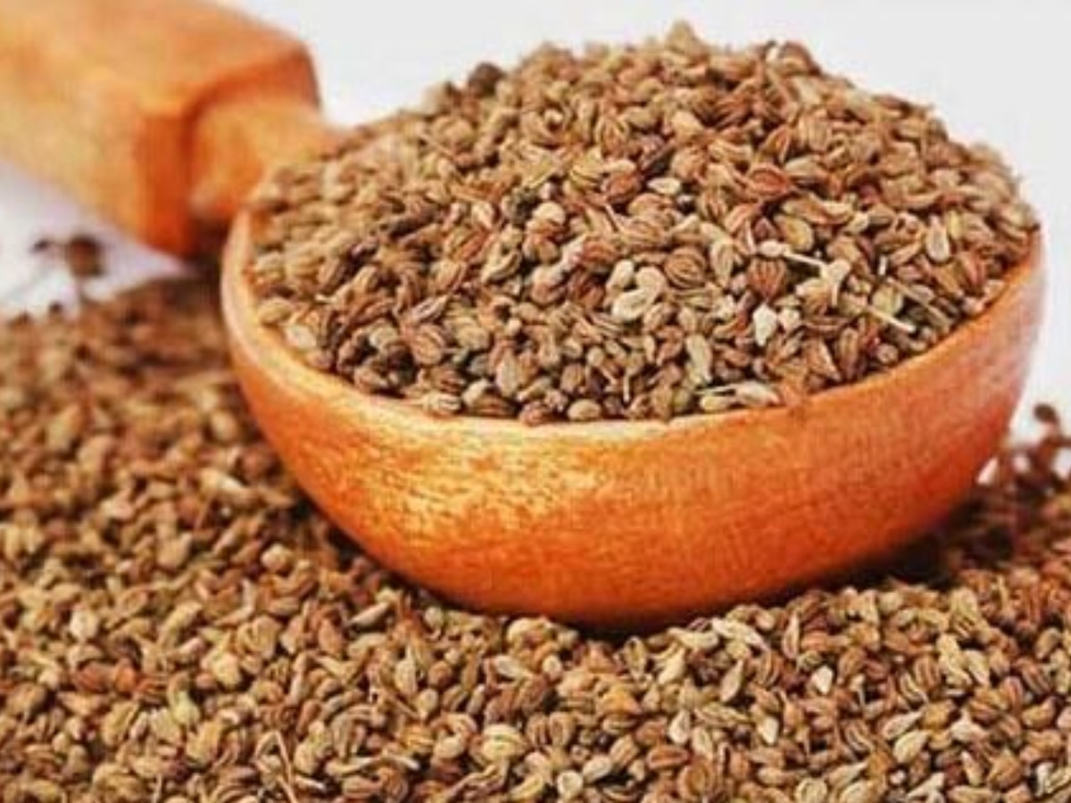 Ajwain Health Benefits: ठंड में अजवायन का जरूर करें सेवन, जानें इसके कई सारे फाएदे