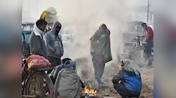  MP में सर्द हवाओं ने बढ़ाई ठिठुरन, छत्तीसगढ़ में छाया घना कोहरा
