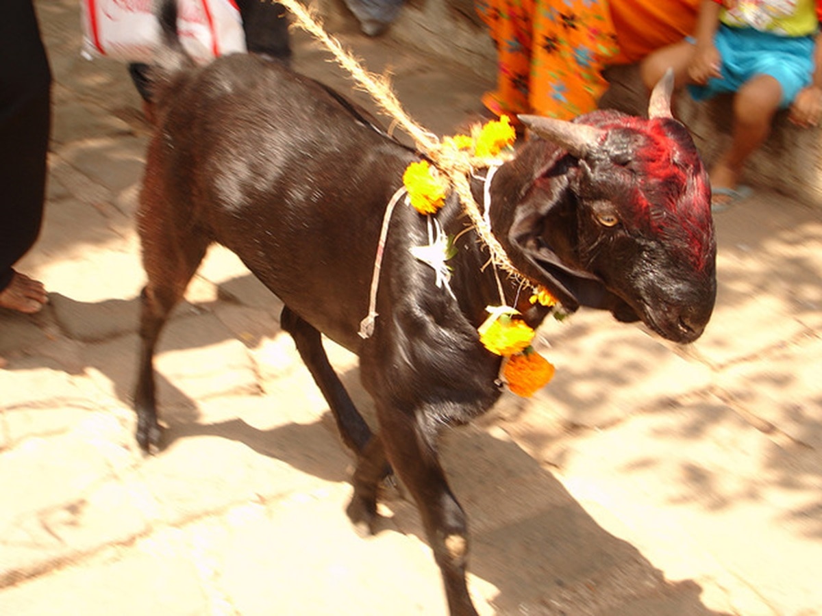 प्रतीकात्मक तस्वीर