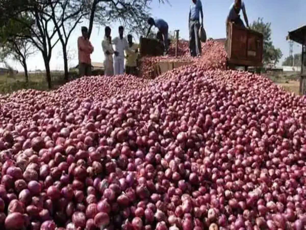  Onion Price: ଅଧା ମୂଲ୍ୟରେ ବିକ୍ରି ହେଉଛି ପିଆଜ; କିପରି ପ୍ରଭାବଶାଳୀ ହେଲା ସରକାରଙ୍କ ପଦକ୍ଷେପ