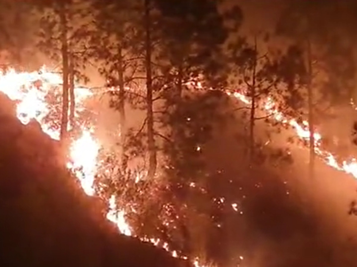 Shimla: शिमला में नहीं थम रही जंगलों में आग लगने की घटनाएं, लोगों ने वन विभाग पर उठाए सवाल